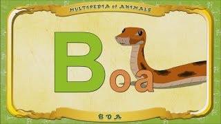 Multipedia Of Animals. Letter B - Boa