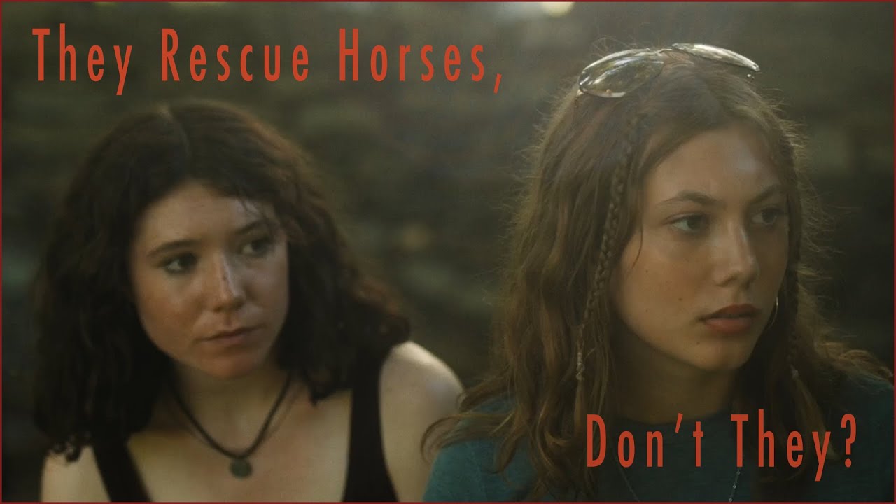They Rescue Horses, Don't They? | Public Lens on WHRO+