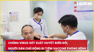Chủng virus sốt xuất huyết biến đổi, người dân chủ động đi tiêm vaccine phòng bệnh| Báo Lao Động
