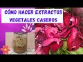 Cómo hacer EXTRACTOS CASEROS de PLANTAS, FLORES, CORTEZAS, VEGETALES 😮🌿🌸🍃