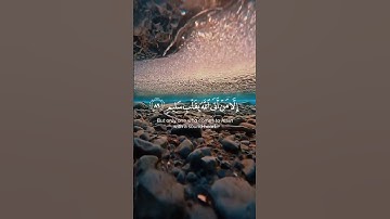 #المصحف #قرآن #اكسبلور #لايك #الرحمن #تلاوة_خاشعة #الله #quran #راحة_نفسية