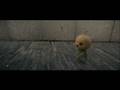 CJ7 Dog Fight Scene