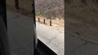 Maajabu ya mlima kitonga