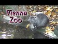 Вена. Зоопарк. Vienna Zoo.