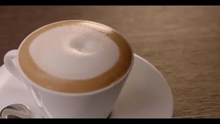 How to Make a Cappuccino  Cappuccino Recipe – Nespresso USA - Nespresso  Recipes