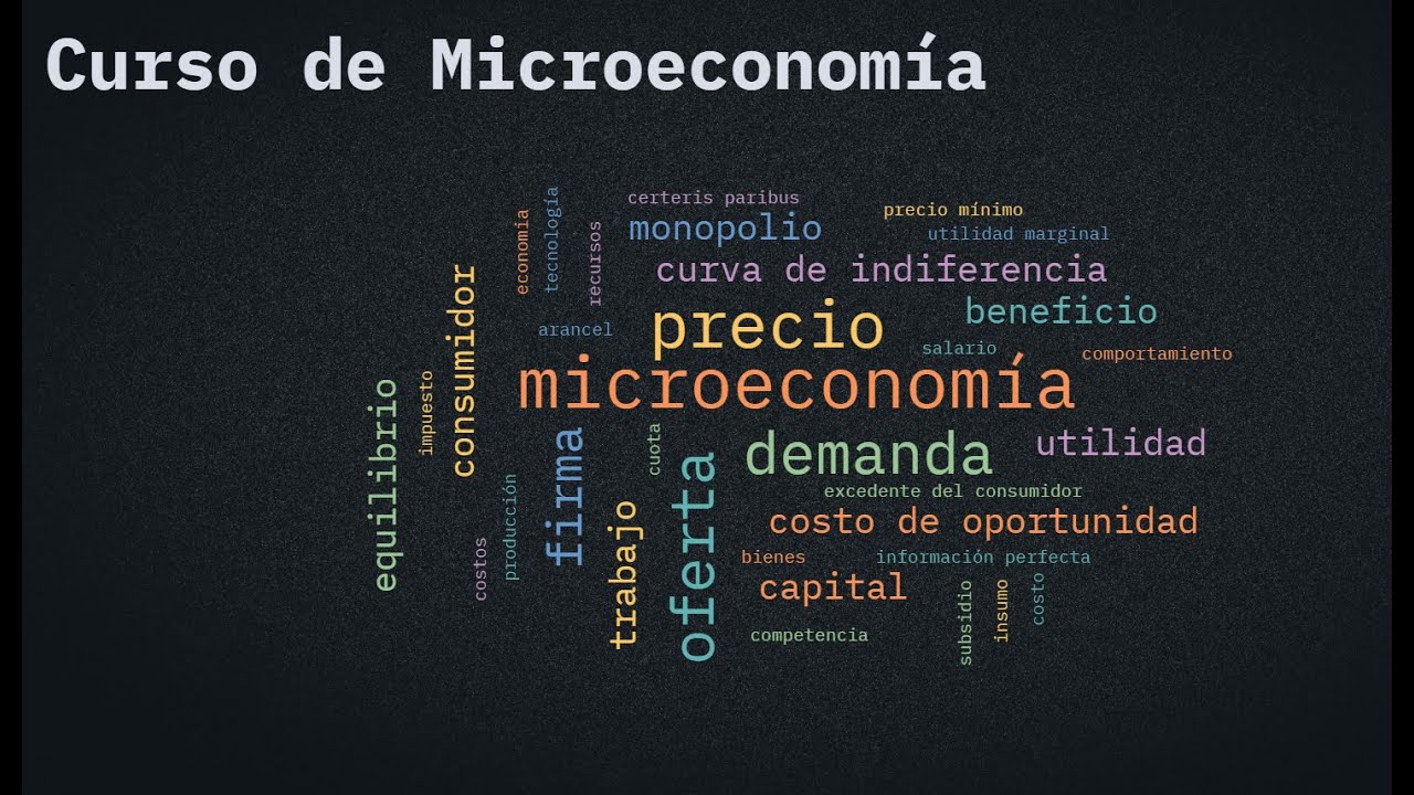 Clase 11 microeconomía.
