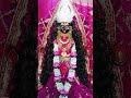 मंगलवार दर्शन माँ मरघट वासिनिजी के #Guru#maa#ka#ladla#kalka#navdurga#darbar#roorkee #viralvideos
