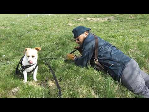 თავშესაფრის ხულიგნები.     სნუპი \u0026  ლაქი))