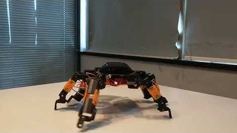 Moorebot Zeus Spider Robot - STEM