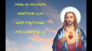 Tizitaw - Bemanme Yemalkayerehe