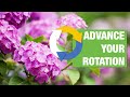 Avelyo Fungicide: For Greenhouse and Nursery