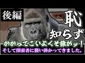 恥知らずたちが行くクトゥルフ神話TRPG～腕に刻まれる死～後編