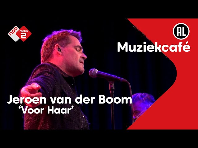 JEROEN VAN DER BOOM - ALLEEN AAN HAAR