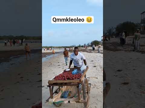 Kakosa Vyote Comedy Humorvibes Funnymemes Laugher Funny 