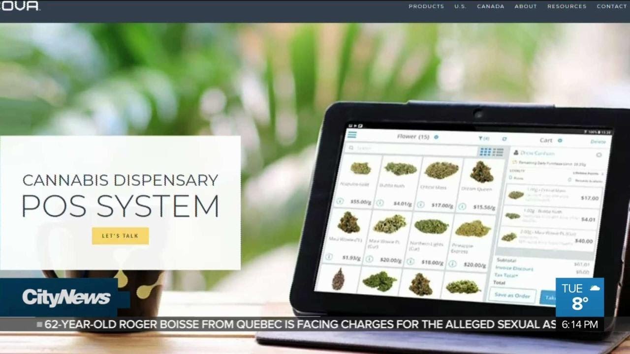 Privacy concerns over ID scanning at legal cannabis shops