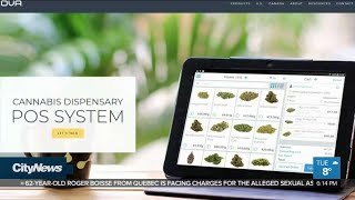 Privacy concerns over ID scanning at legal cannabis shops