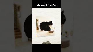 Maxwell the Cat | Pixel Art Animation in Minecraft