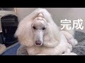 トップノットの結び方
