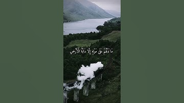 واتس اب قران كريم القارئ ماهر المعيقلي (سوره سبإ)