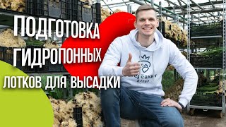 видео: Выгонка тюльпанов. Подготовка гидропонных лотков для высадки. Аренда теплицы. картинка: Выгонка тюльпанов. Подготовка гидропонных лотков для высадки. Аренда теплицы.