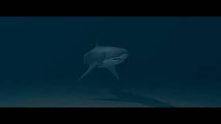 3D animation "Blender" : Shark Animation in the Deep Ocean