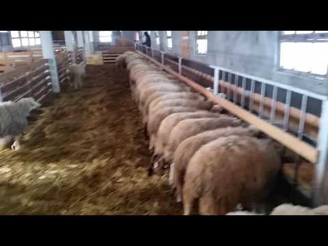 20170101 114416