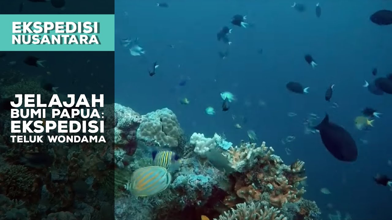 Jelajah Bumi Papua: Ekspedisi Teluk Wondama