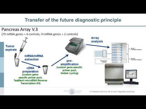 Video: MiR-23b In MiR-27b Sta Onkogeni MikroRNA Pri Raku Dojke: Dokazi Iz študije O Izbrisu CRISPR / Cas9