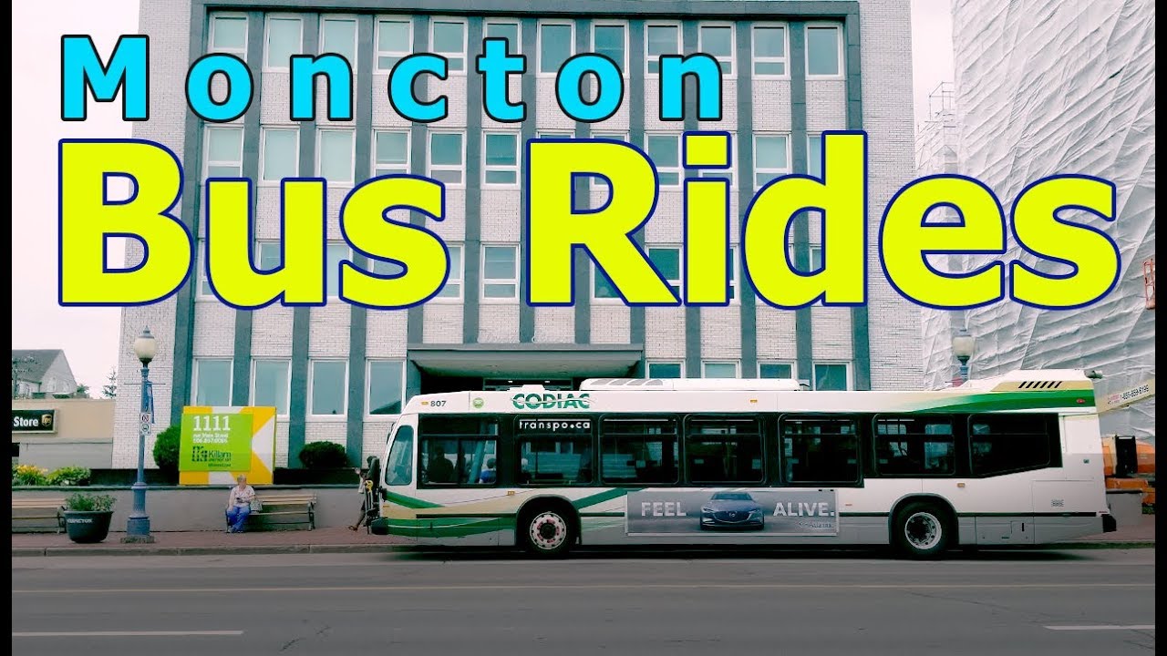 moncton tour bus