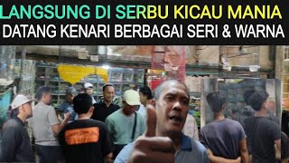 Download Lagu 🟡 LANGSUNG DI SERBU KICAU MANIA BARU DATANG KENARI BERBAGAI SERI \u0026 WARNA DI PASAR BURUNG PRAMUKA MP3