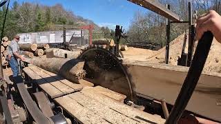 Sawing Wahoo Logs by Andruw's Lumber  8,362 views 1 month ago 15 minutes