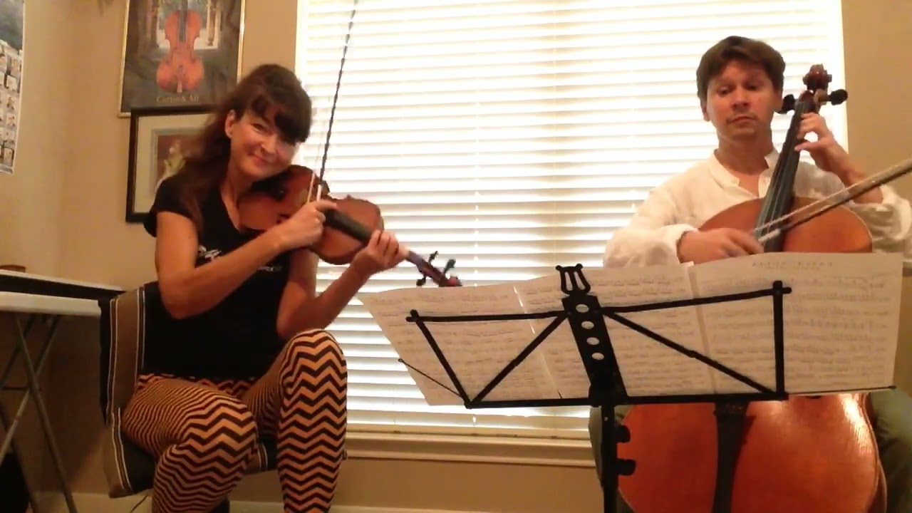 “Passacaglia” by Handel- Halvorsen. Cello - Louis-Marie Fardet.