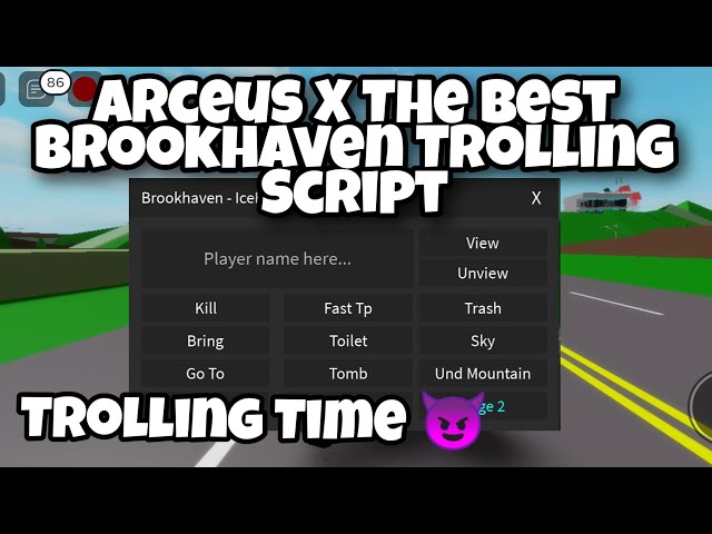 Arceus X Brookhaven New VHub Trolling Script 😱 