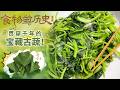 万万没想到！这道古代家常菜 竟藏着文人与清官的双重浪漫！《百家讲坛》 食物的历史（第二部） 1 青青园中葵 20260619 | CCTV百家讲坛官方频道