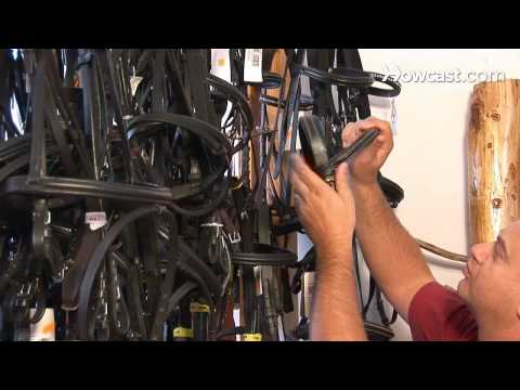 Comment acheter un cheval Bridle