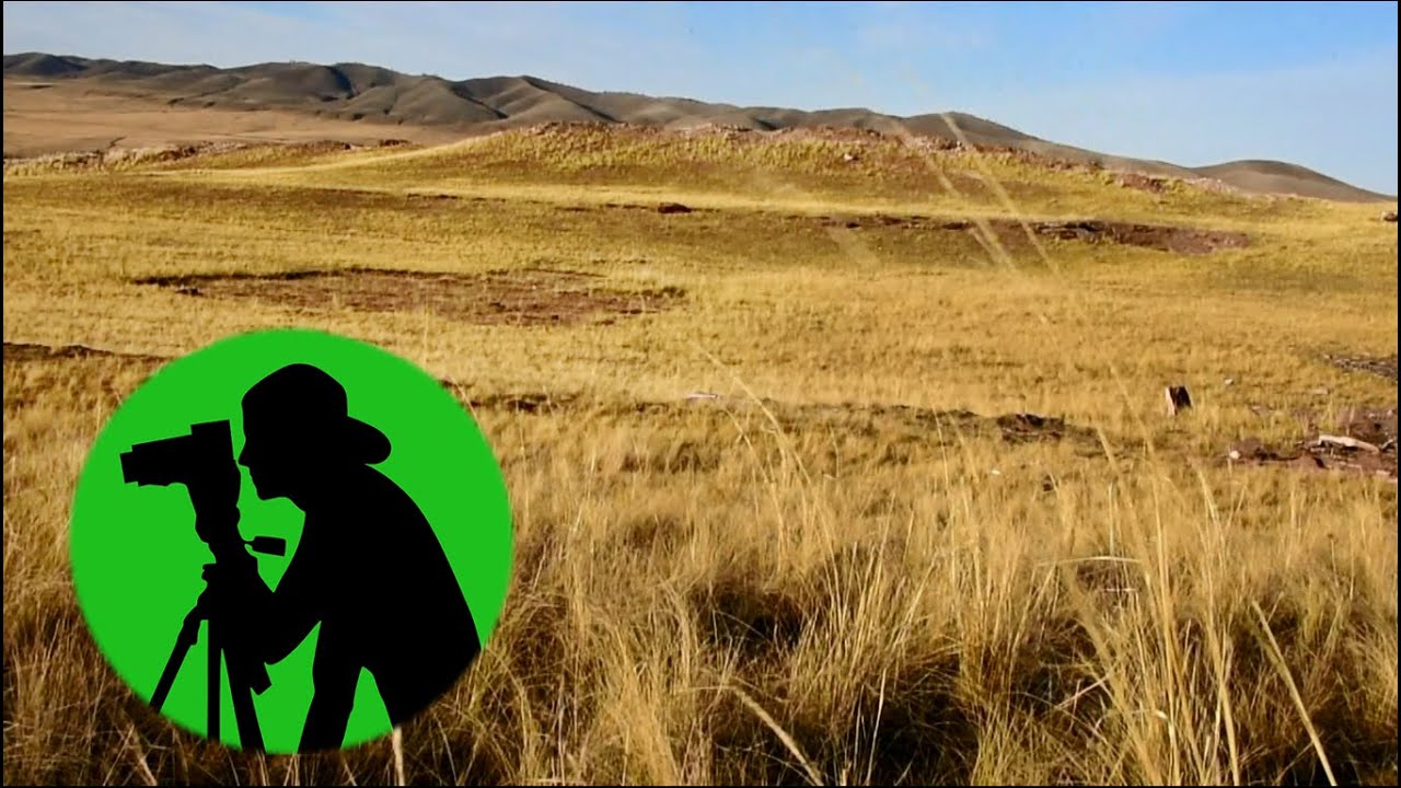 Ветреный день в степи / 10 часов расслабляющих звуков природы для ...