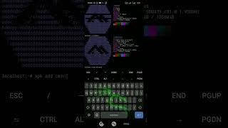 simple small secure alpine linux_V-8.7