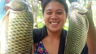 Download Lagu Full vedio...daming blessing ang daming carpa #fishing #plongplongvlog MP3 Download Lagu Full vedio...daming blessing ang daming carpa #fishing #plongplongvlog MP3