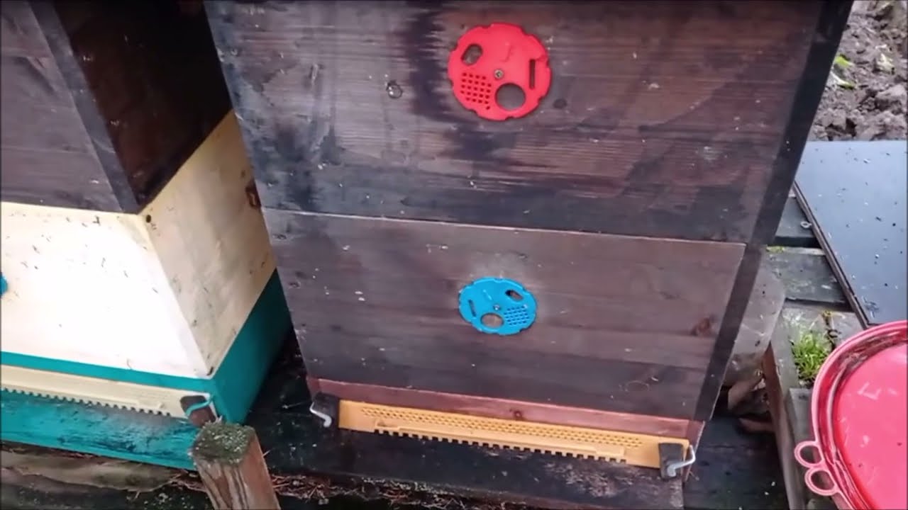 Jak mám zakryté dno, otevřené očko a česno v zimě ve včelách? Na Vaše přání ukazuji podruhé (.-)