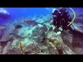 Tenerife Diving - Los Gigantes