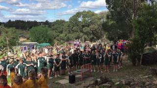 Scac Sunrise Dance Cant Stop The Feeling