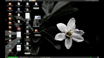 Primeira Aula Scriptcase.mkv
