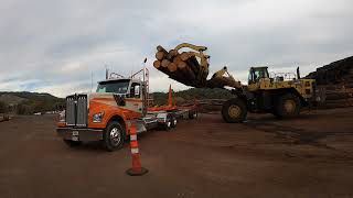 2022 Kenworth W990 Log Truck First Loads