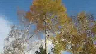 Sherry B Cottonwood
