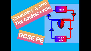 The Circulatory System | The cardiac Cycle | GCSE PE | Passage of Blood