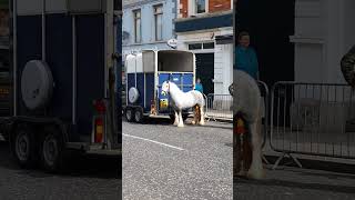 Ballyclare Horse Fair ? Northern Ireland 21-05-2024.