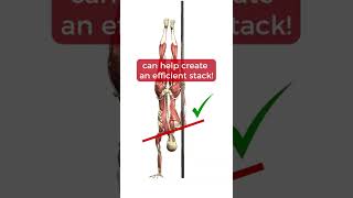 Pole Anatomy  Handstand