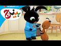 Attention to Flop and Oak | Bing: Stories | Bing in Arabic