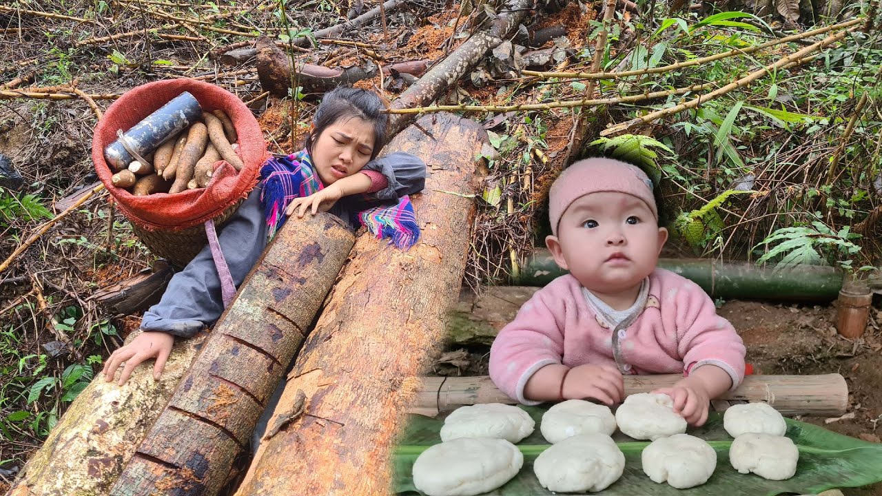 single mother: went into the forest to dig cassava and unfortunately ...