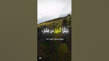 سورة الانسان الاية ( ١٨ ) | محمد اللحيدان  #قران_كريم #استغفر_الله #اللهم_صل_وسلم_على_نبينا_محمد